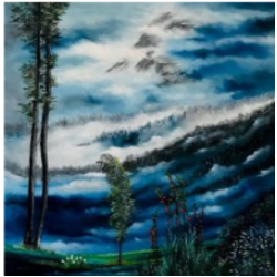 Twilight Saga Twilight Saga