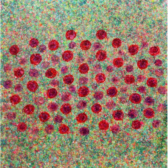 Celestial blooms