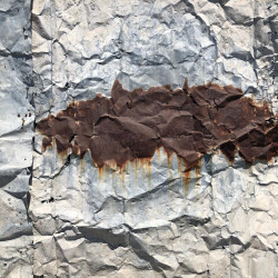 Monica n 1, Monica n 1,