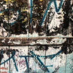 Napoli Harmony, n 1 Napoli Harmony, n 1