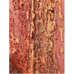 Seoul soul,n 1, Seoul soul,n 1,