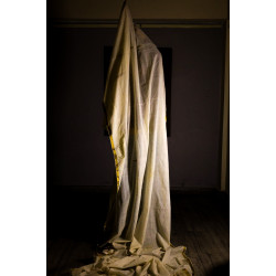 Light Within Light Within