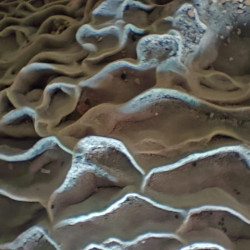 Abstract Series Abstract Series