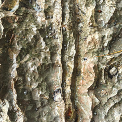 Abstract Series Abstract Series