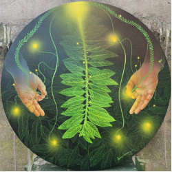 Circle of Growth