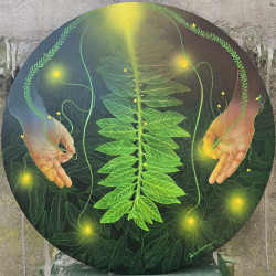 Circle of Growth Circle of Growth