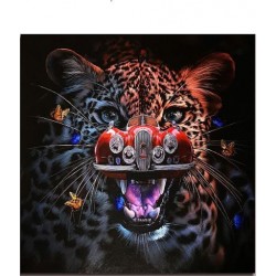 Darshan - How Many Eyes Do You Have