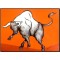 BULL SERIES 