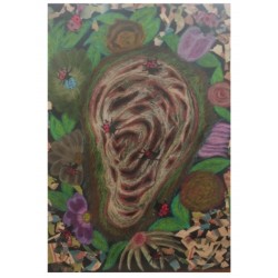 Blossom Ear ll  Blossom Ear ll