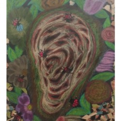 Blossom Ear ll  Blossom Ear ll