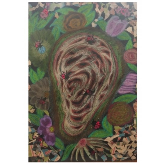 Blossom Ear ll