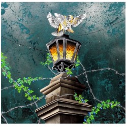 Midnight Story Midnight Story