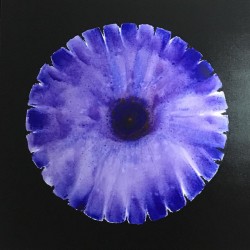 Cosmic Flower Cosmic Flower