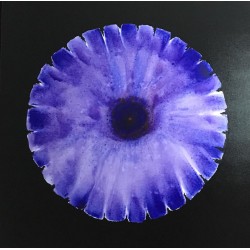 Cosmic Flower Cosmic Flower