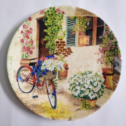 Hand painted Wall Plate - 20190420_203532